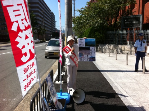 http://www.jcp-kyoto.jp/old/activities/3.JPG