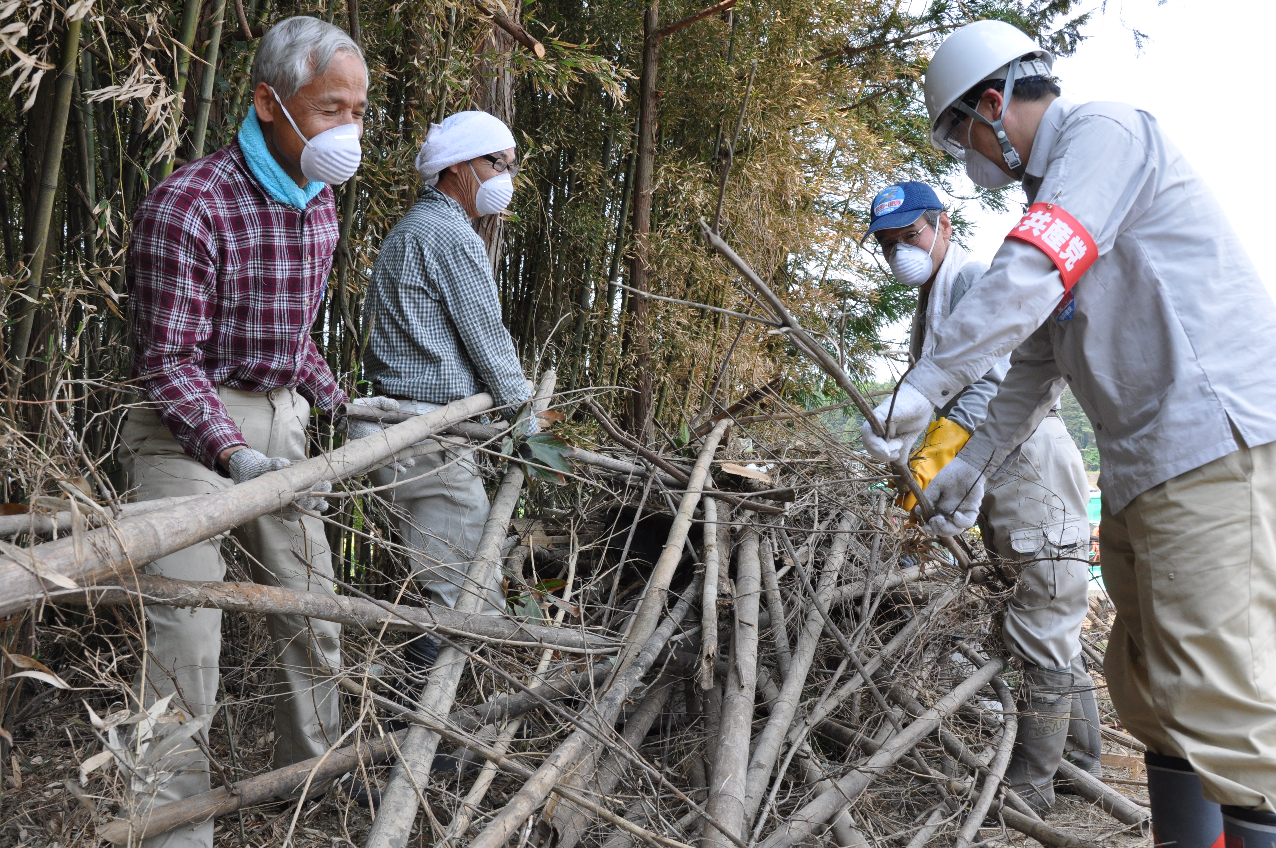 http://www.jcp-kyoto.jp/old/activities/DSC_0334.JPG