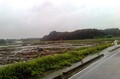 P2011_0822_101310.JPG