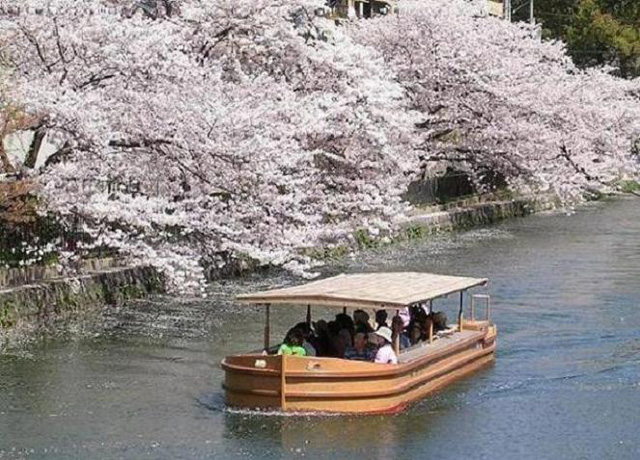 ����a���̍�