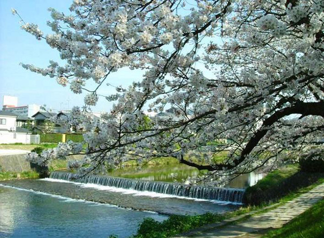 �����̍�