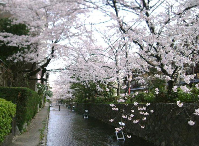 ������̍�