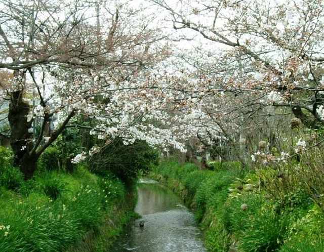 ������a���̍�