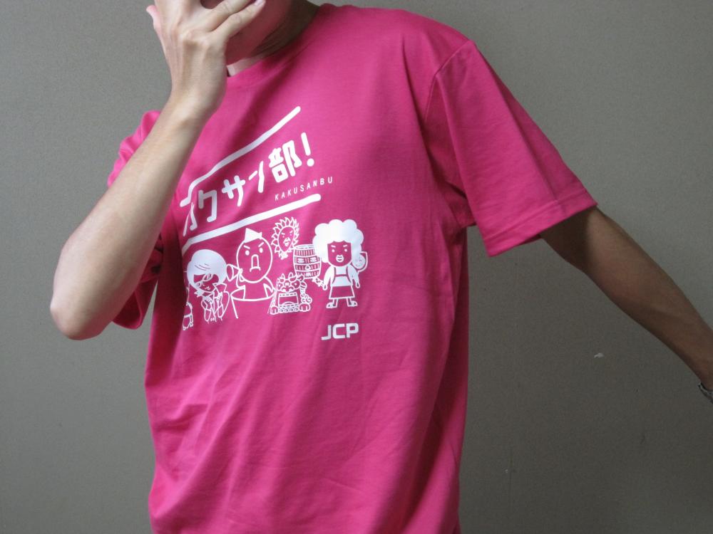 http://www.jcp-kyoto.jp/old/seinen/kakusan02.JPG